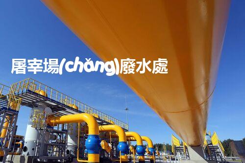 屠宰場(chǎng)廢水處理方案：解密以后環(huán)保新方向？